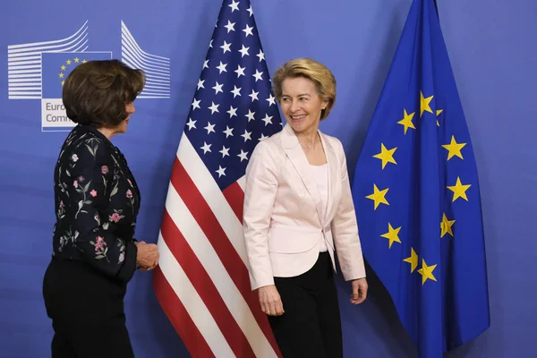 Przewodniczący Izby Reprezentantów Nancy Pelosi — Zdjęcie stockowe