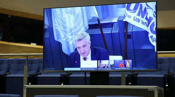 Foreign Policy Chief Josep Borrell Attends Video Press Conference International — Stock Photo, Image