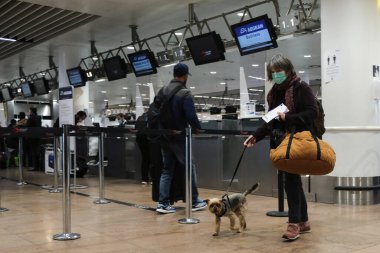 Koronavirüsün yayılmasını önlemek için ağız maskesi takan yolcular, 15 Mayıs 2020 'de Brüksel' deki Brüksel Uluslararası Havalimanı 'nda Atina' ya giriş için sırada beklesinler..