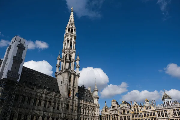 Byggnadsställning Utanför Bryssels Stadshus Ett Storskaligt Restaureringsprogram Grand Place Bryssel — Stockfoto