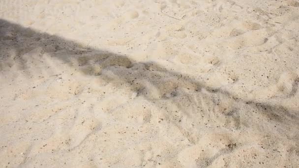 Amanecer y sombra de un árbol en una playa de arena blanca. Viento fuerte. El final de la temporada turística . — Vídeos de Stock