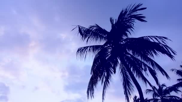Rami di palme oscillano contro il cielo blu. Colore dell'anno 2020 . — Video Stock