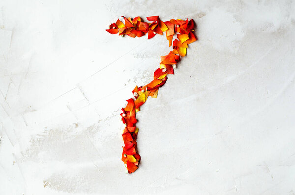 Число 7 - семь красно-жёлтых роз, выложенных из лепестка. Крупный план. Копирование пространства
