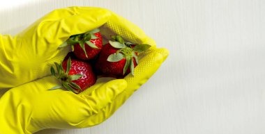 Bir kadının eli lateks eldiven takıyor. Elimde bir tane çilek var. Koronovirüs enfeksiyonunun yayılma koşullarında enfeksiyon riski.