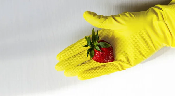 A womans hand is wearing a latex glove. There is one strawberry in my hand. Risk of infection in conditions of spread of coronovirus infection.