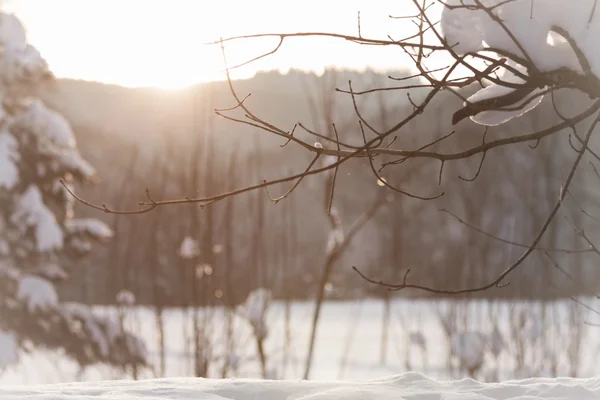 Witte winter wonderland met sneeuw en zon bij Kerstmis — Stockfoto