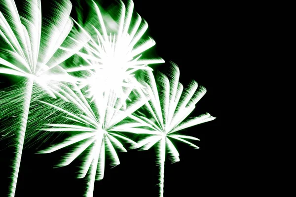 Yeşil palmiye yıldızlarıyla gösterişli havai fişek gösterisi — Stok fotoğraf