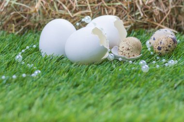 Gizli yuvalı mutlu Paskalyalar. Kutlama için geleneksel sepet deco. Yeşil çayır üzerinde el yapımı tavuk ve bıldırcın yumurtası..