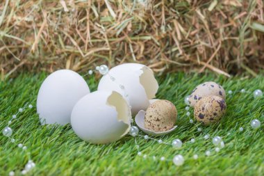 Gizli yuvalı mutlu Paskalyalar. Kutlama için geleneksel sepet deco. Yeşil çayır üzerinde el yapımı tavuk ve bıldırcın yumurtası..