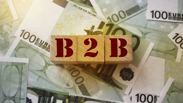 B2B Fából Készült Kockákra Feltett 100 Eurós Bankjegyek Business Business — Stock Fotó