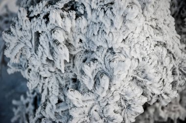 Kışın katı taş duvarın mimari detaylarıyla çekilen görüntüsü. Makro fotoğrafçılıkta buz yapısı. Donmuş su yakın çekim. Mikro evrende ya da mikro evrende doğa sanatı. Kar taneleri ve buz..