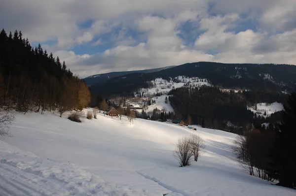 晴れた空と素敵な冬の日の間にチェコのイェセニーキ山脈の冬のトレイル 雪に覆われたチェコの典型的な村や木の景色 イースタン スデーツ プレッド — ストック写真