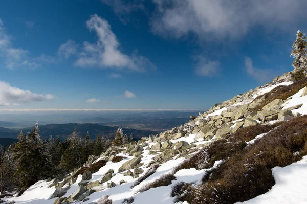 Zimowy Szlak Jesionikach Czechach Podczas Przyjemnego Zimowego Dnia Czystym Niebem — Zdjęcie stockowe
