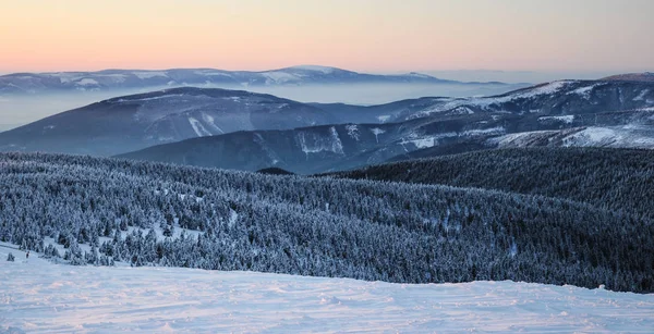 Sunrise in snow covered Jeseniky mountains in Czechia during nice winter with fog and clear sky. Wiew of Czech mountains, trees and snow fields covered in snow and morning sun. Eastern Sudetes, Praded hill