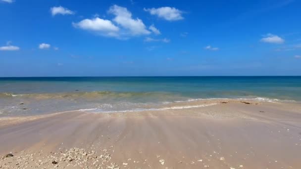 白い砂の上のヤシの木の下のリゾートの近くのビーチでリラックスします 小さな波が岩の多い海岸に飛び散っています 晴れた日 フルHd — ストック動画