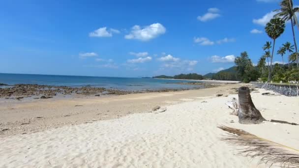 Caminhando Praia Perto Resort Sob Palmeiras Areia Branca Phra Longa — Vídeo de Stock