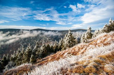 Çek Cumhuriyeti 'nin alçak dağlarında kış. Jeseniky Dağları, Moravya, Çek Cumhuriyeti. Çek dağlarında yürüyüş. Kış manzarası.