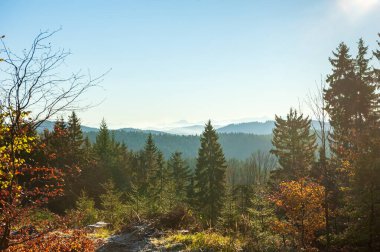 Sıcak gün batımı manzaralı vadide sisli Beskydy dağları ve mavi bulutsuz gökyüzü Çek dağlarında güneşli bir öğleden sonra, Beskid Slaski Lysa Hora Dağı yakınlarında..