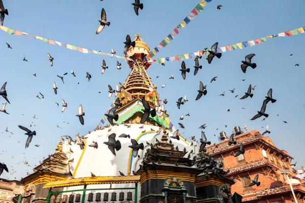 Kathmandu Nun Güzel Durbar Meydanı Ndaki Stupa Etrafında Uçan Gri — Stok fotoğraf