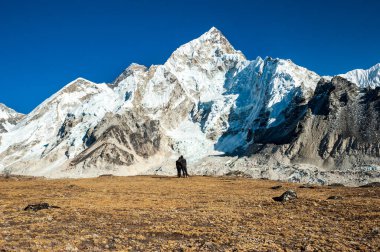 Mount Dağı 'nda genç bir çift bizi izliyor. Everest ve Nuptse zirvesi Kala Pattar 'da. Nepal Himalayaları 'nda gezinti. EBC (Everest ana kamp yürüyüşü), Lukla 'dan Everest yürüyüşünün EBC' sine kadar uzanır. Nepal.