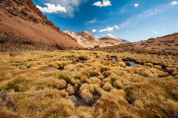 Grupo Excursionistas Que Caminan Hacia Volcán Pomerape Los Grandes Nevados —  Fotos de Stock