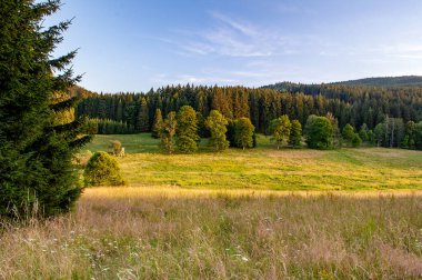 Tarlalarda ve ormanlarda gün batımı. Çayır üzerinde akşam güneşleri. Sumava, Bohem Ormanı, Bohmerwald, Çek Cumhuriyeti köylerinde sıcak güneş ışığı.