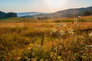 Tarlalarda ve ormanlarda gün batımı. Çayır üzerinde akşam güneşleri. Sumava, Bohem Ormanı, Bohmerwald, Çek Cumhuriyeti köylerinde sıcak güneş ışığı.