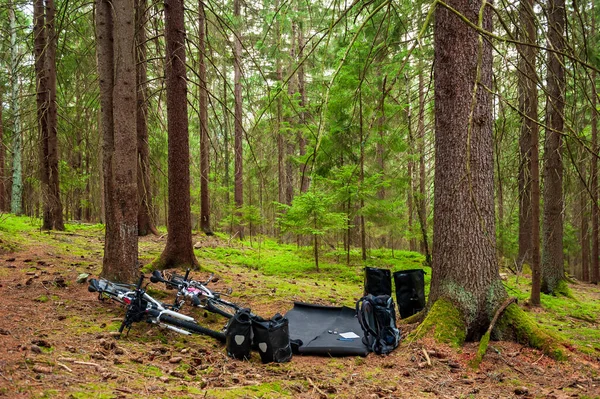 Two white bikes of cyclists lying on the needles floor in coniferous forest with all equipment. Bike with bags, helmet and smartphone case parking by the roadside during tour. Close up. Wandering on bikes. Bikepacking, Sumava, Bohemian Forest, Bohm