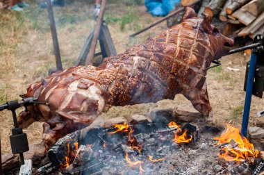 Kızarmış domuz yavrusu vücudu doğal şömineyi yakıyor. Et pişirme sürecinde büyük bir barbekü. Dilimlenmiş ızgara domuz yavrusu. Domuz etini kapat..
