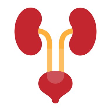 Tıbbi ikon böbrek sistemi vektör çizimi
