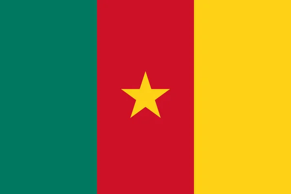 Εικονογράφηση φορέα εθνική σημαία Καμερούν — Διανυσματικό Αρχείο