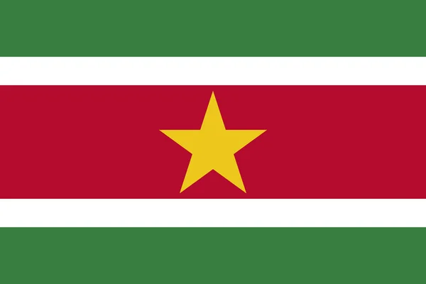 Surinam Diseño Gráfico Bandera Nacional Perfecto Para Fondos Telón Fondo — Archivo Imágenes Vectoriales