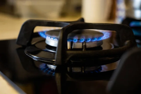 Gas burner in the apartment. Blue flame. Natural gas is burning . Industry. Natural gas production.Cooking on the kitchen stove.