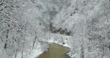 Karlı dağlara ve fırtınalı nehre bakan nehrin üzerinde uçuyor.