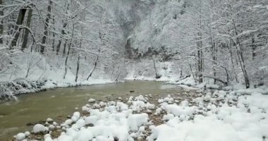 Kışın, kar yağdığında nehirde uçarken