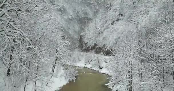 Flug Über Den Fluss Mit Blick Auf Die Schneebedeckten Berge — Stockvideo