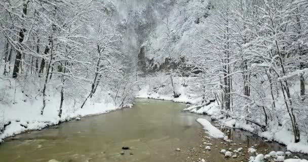 Voando Sobre Rio Inverno Tempo Nevado Quando Neve Cai — Vídeo de Stock