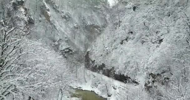 Flying River Overlooking Snowy Mountains Stormy River — Stock Video