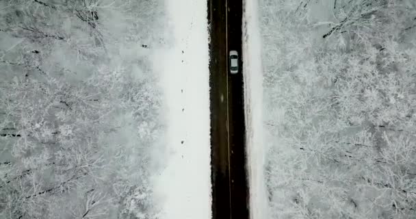 Máquina Entre Árboles Nevados Desde Una Altura — Vídeos de Stock