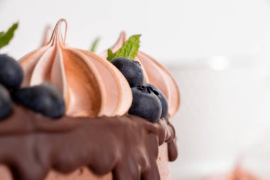 Çikolatalı kümes hayvanları marşmelov ve yaban mersiniyle süslenmiş.