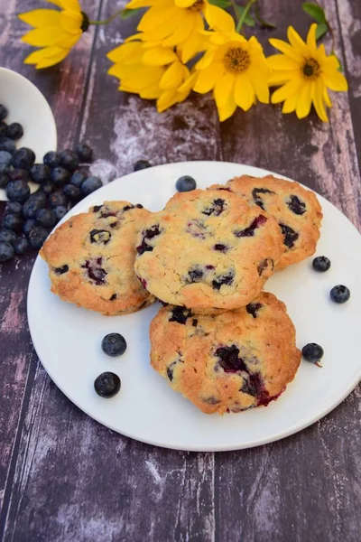 Homemade Blueberry Oat Cookies — Stock Photo, Image