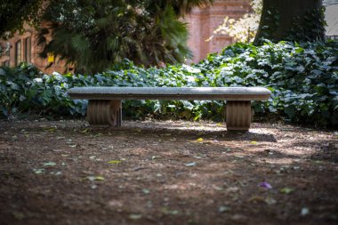 Boş bir parkta boş bir bank