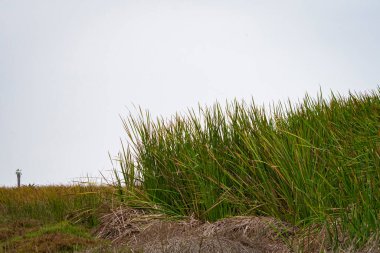 Chorrillos, Lima, Peru 'daki Pantanos de Villa (Villa Bataklığı) manzarası