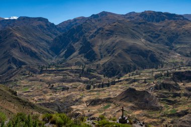 Colca Canyon, Chivay, Peru 'daki tarım teraslarının manzarası