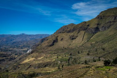 Colca Canyon, Chivay, Peru 'daki tarım teraslarının manzarası