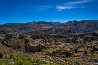Colca Canyon, Chivay, Peru 'daki tarım teraslarının manzarası
