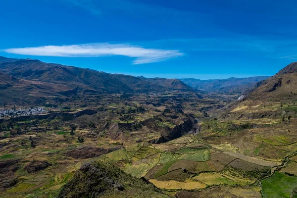 Vista Terrazas Cultivo Cañón Del Colca Chivay Perú —  Fotos de Stock