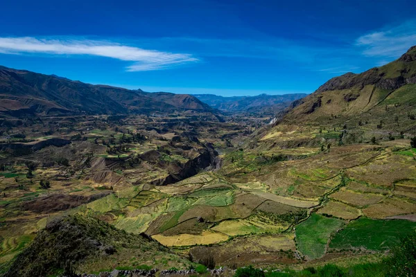 Vista Terrazas Cultivo Cañón Del Colca Chivay Perú — Foto de Stock
