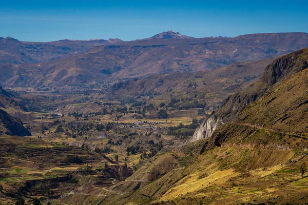 Une Vue Sur Les Terrasses Culture Colca Canyon Chivay Pérou — Photo