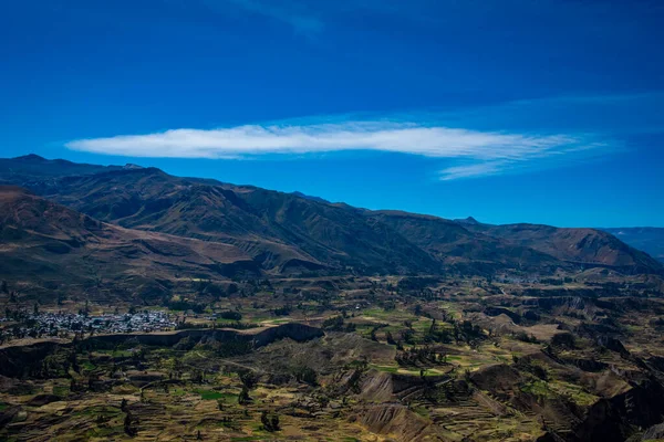 Uma Vista Dos Terraços Cultivo Colca Canyon Chivay Peru — Fotografia de Stock